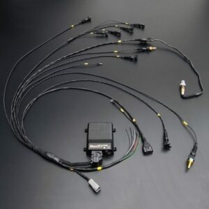 Faisceau Universel STD 4Cyl