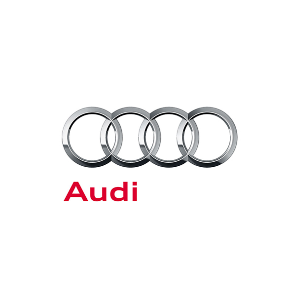 MaxxECU Adaptateur Plug-in Audi