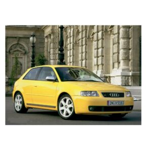 Audi S3/A4 1.8T 20vt MaxxECU Plugin *Race & H2O